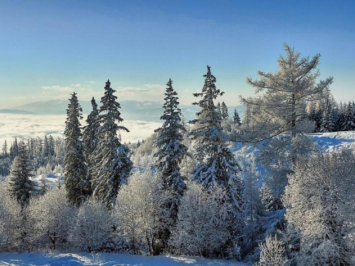 Strbske Pleso - Rezidencia Armeria Apt 30 Dış mekan fotoğraf